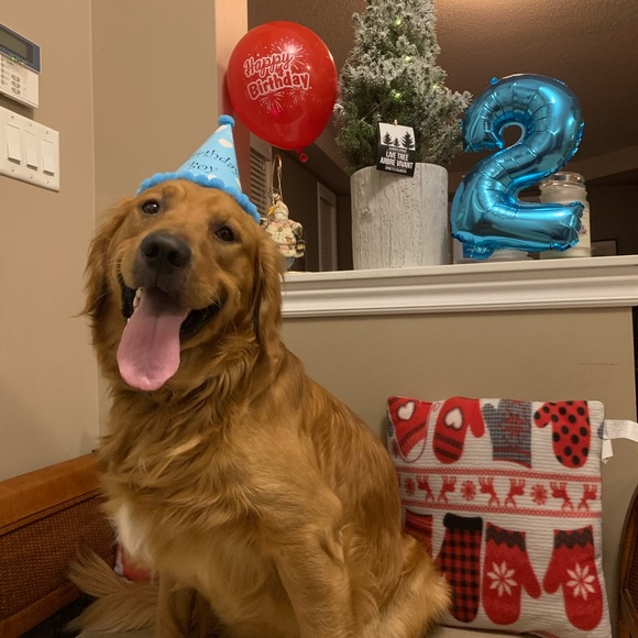 Meet your Posher, Simona - Picture 1 of 1